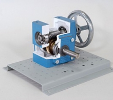 Right Angle Worm Gear Reducer Cutaway (205-201)